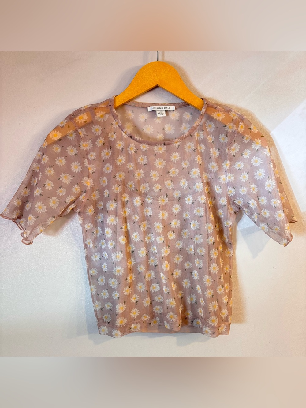 American Eagle Outfitters Daisy Sheer Top